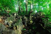 Ecotourisme au Vietnam : le Parc National Cuc phuong